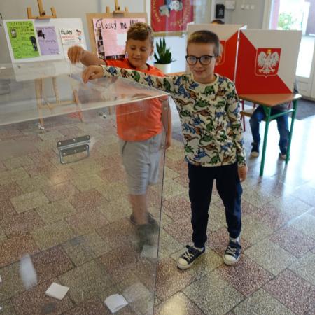 Wyświetl org. rozmiar