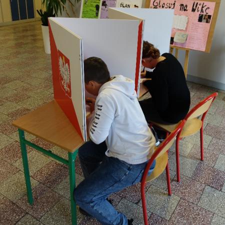 Wyświetl org. rozmiar