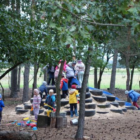 Wyświetl org. rozmiar