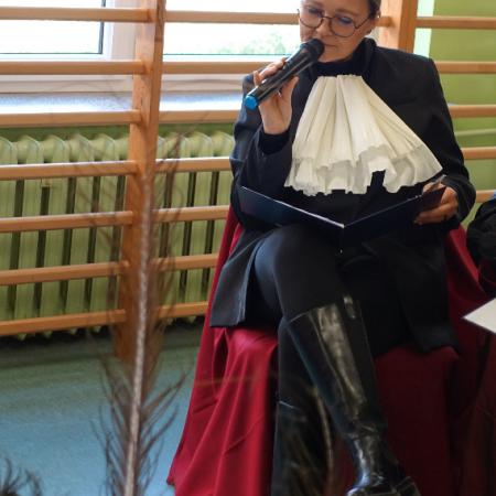 Wyświetl org. rozmiar