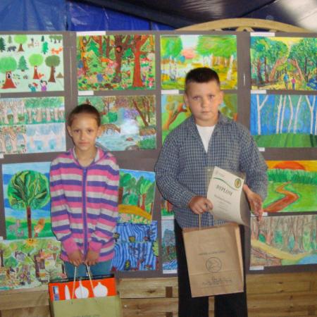 Wyświetl org. rozmiar