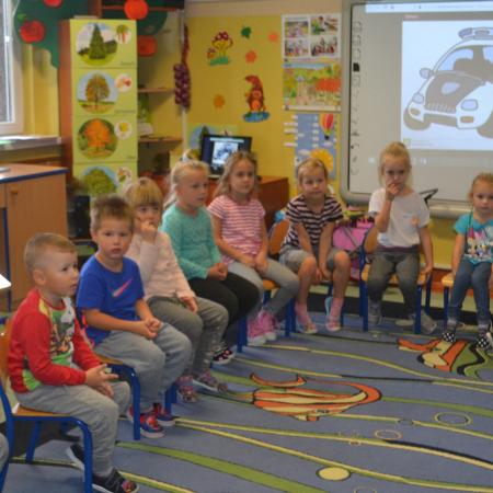 Wyświetl org. rozmiar