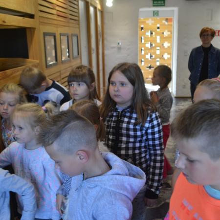 Wyświetl org. rozmiar