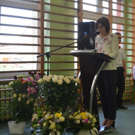 Wyświetl org. rozmiar