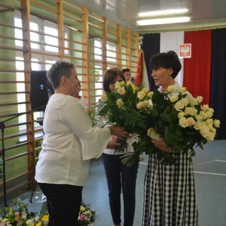 Wyświetl org. rozmiar