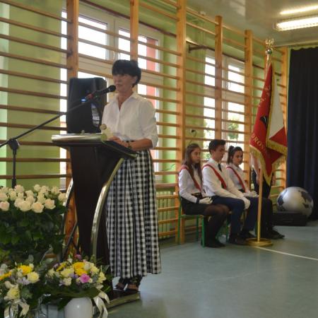 Wyświetl org. rozmiar