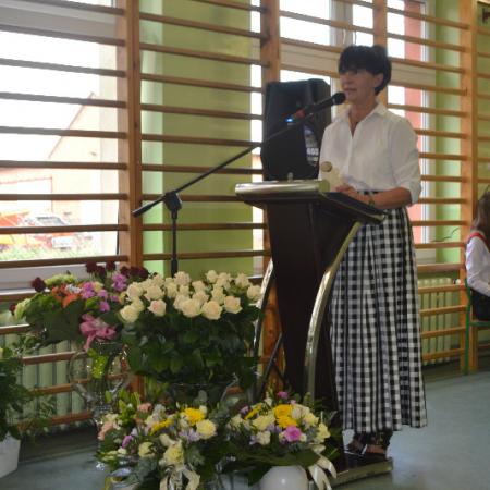 Wyświetl org. rozmiar