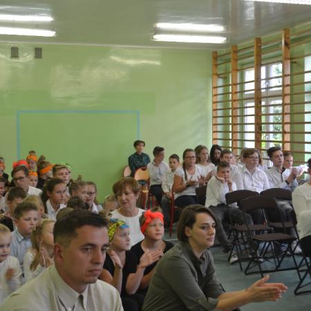 Wyświetl org. rozmiar