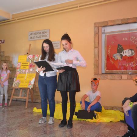 Wyświetl org. rozmiar