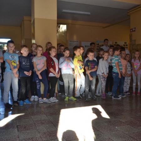 Wyświetl org. rozmiar