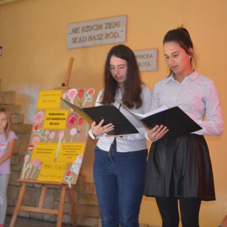 Wyświetl org. rozmiar