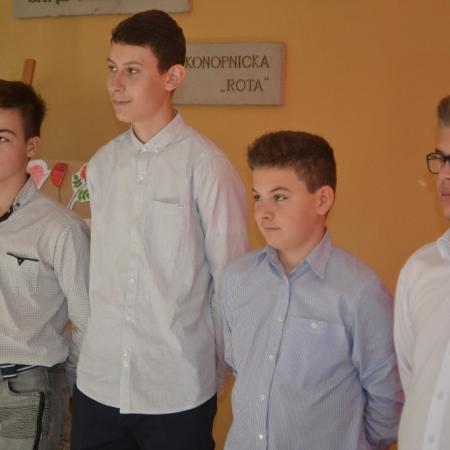 Wyświetl org. rozmiar