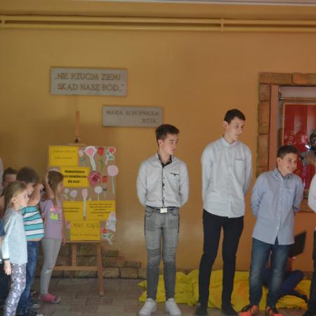 Wyświetl org. rozmiar