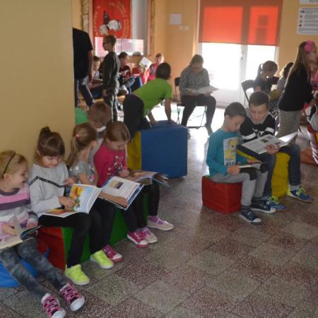 Wyświetl org. rozmiar