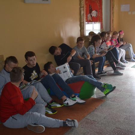 Wyświetl org. rozmiar