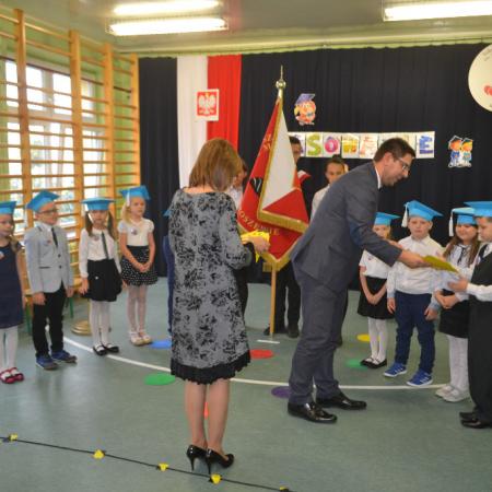 Wyświetl org. rozmiar