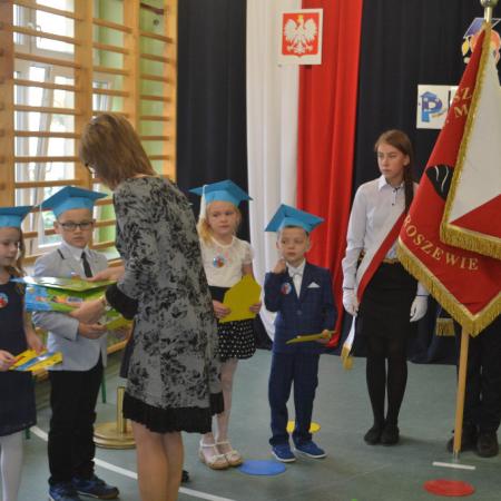 Wyświetl org. rozmiar