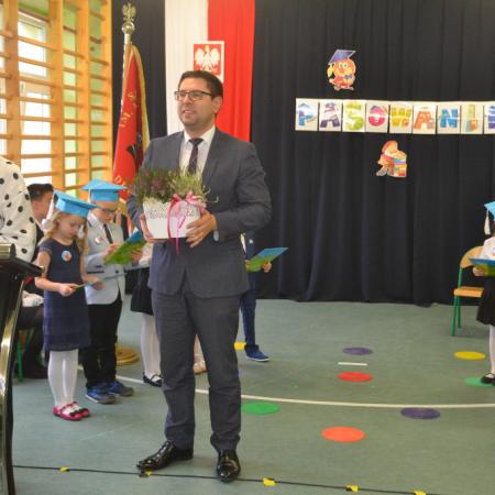 Wyświetl org. rozmiar