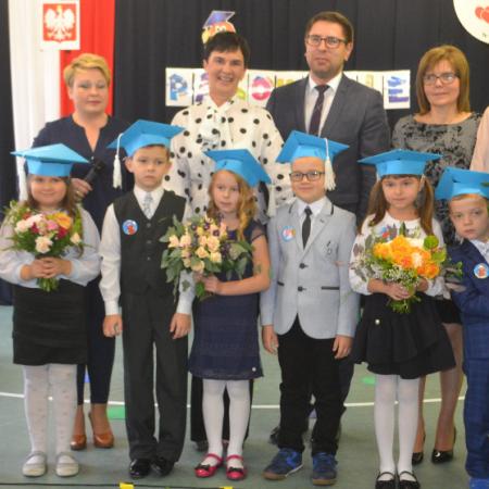 Wyświetl org. rozmiar