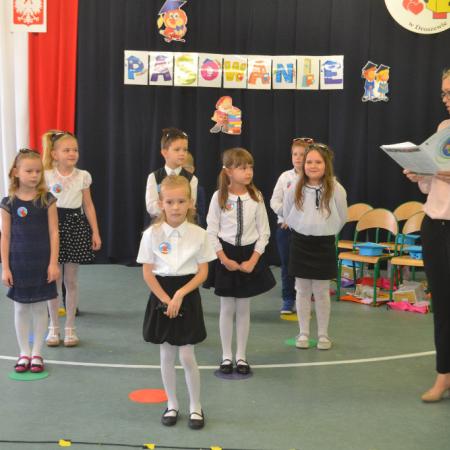 Wyświetl org. rozmiar