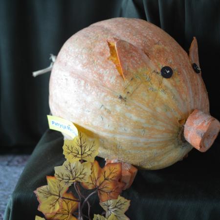 Wyświetl org. rozmiar