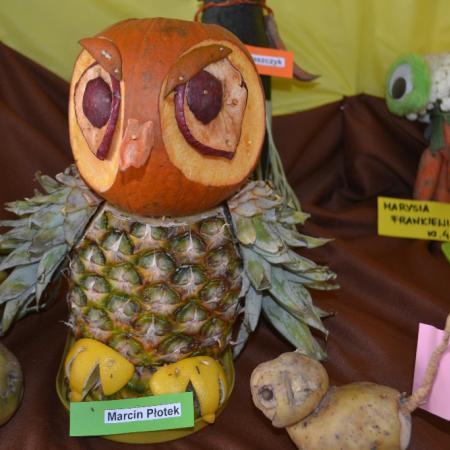 Wyświetl org. rozmiar