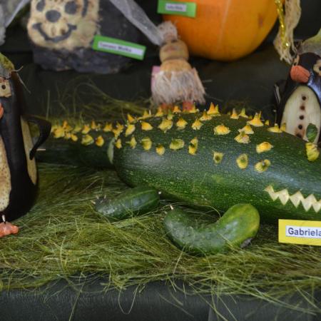 Wyświetl org. rozmiar