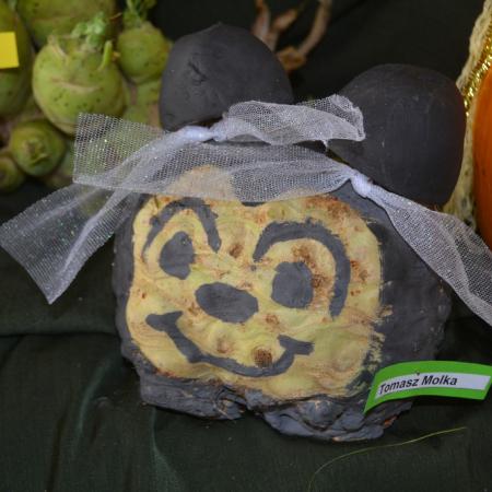 Wyświetl org. rozmiar