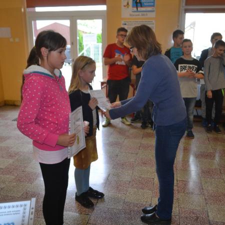 Wyświetl org. rozmiar