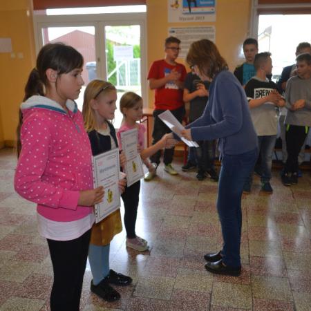 Wyświetl org. rozmiar