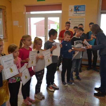 Wyświetl org. rozmiar