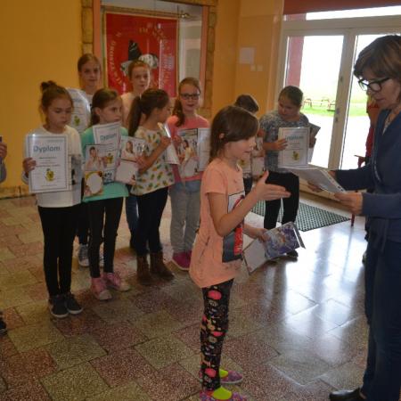 Wyświetl org. rozmiar