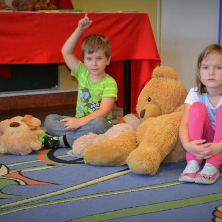 Wyświetl org. rozmiar