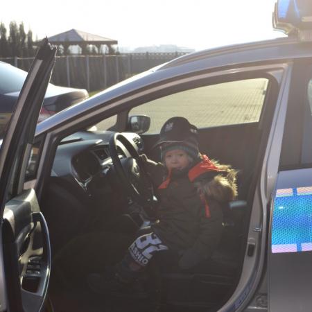 Wyświetl org. rozmiar