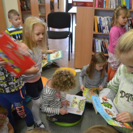 Wyświetl org. rozmiar