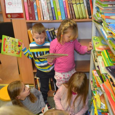 Wyświetl org. rozmiar