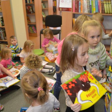 Wyświetl org. rozmiar