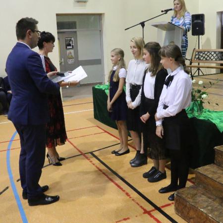 Wyświetl org. rozmiar