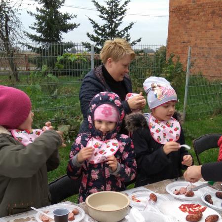 Wyświetl org. rozmiar