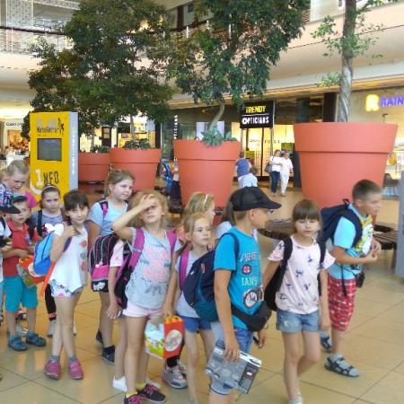 Wyświetl org. rozmiar