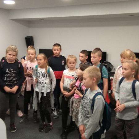 Wyświetl org. rozmiar