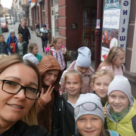 Wyświetl org. rozmiar