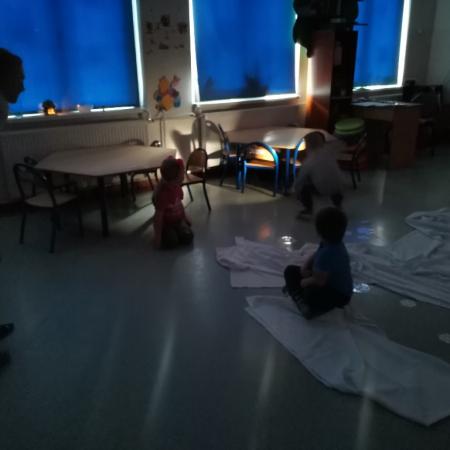 Wyświetl org. rozmiar