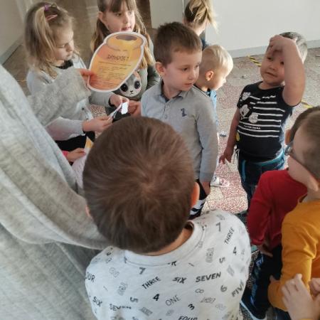 Wyświetl org. rozmiar
