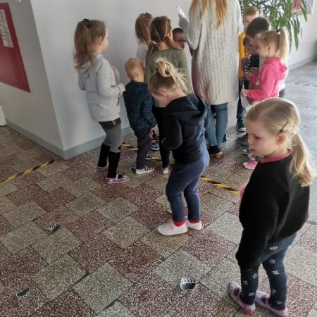 Wyświetl org. rozmiar