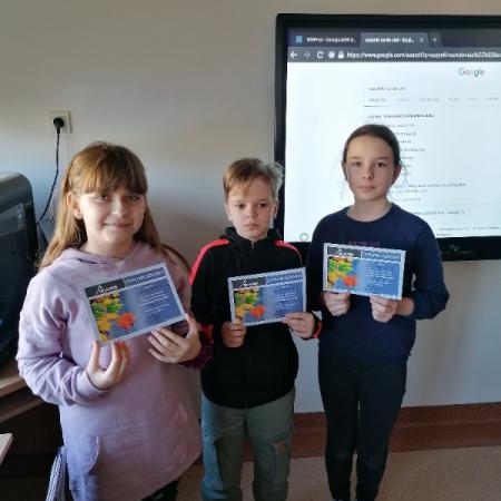 Wyświetl org. rozmiar