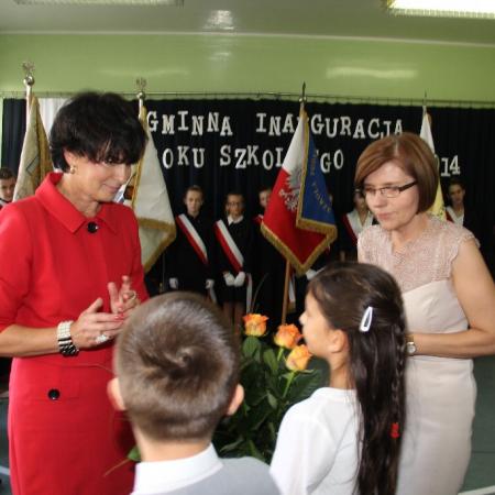 Wyświetl org. rozmiar