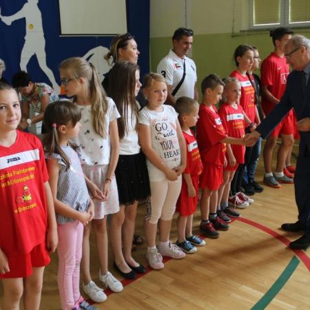 Wyświetl org. rozmiar