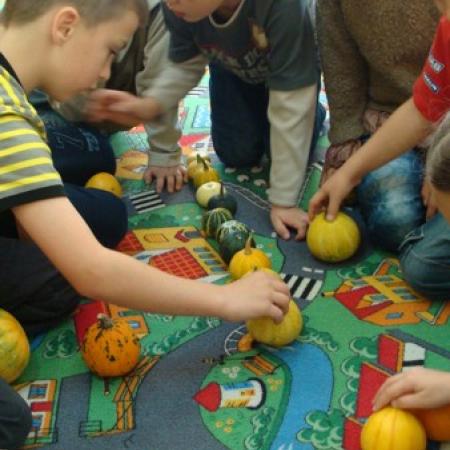 Wyświetl org. rozmiar