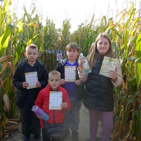 Wyświetl org. rozmiar